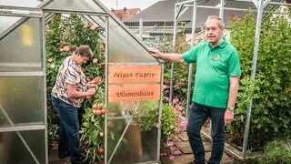Ein Rentner aus Eschach vor einem Gewächshaus. Er lässt Gemüse auch bei Dürre wachsen - mit einem selbst entwickelten System.
