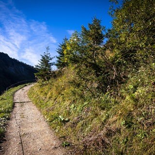 Ein Wanderweg in Vorarlberg. Viele der Wege sind grundsätzlich auch für Rollstühle oder Handbikes geeignet. Die Inklusion am Berg scheitert an scheinbar kleinen Hindernissen wie Gattern oder Drehkreuzen. 