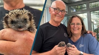 Michaela und Oliver Wiens mit Igel in Pfäffingen im Kreis Tübingen. 