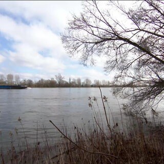 Flussufer