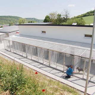 Viele Tierheime sind in einem schlechten Zustand. In Bad Mergentheim steht eines der Modernsten im Land, auch durch die Hilfe von Vereinen. 