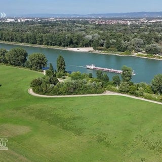 Die Kollerinsel am Rhein bei Brühl