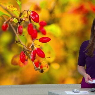 Nachrichtensprecherin Christina Dietrich