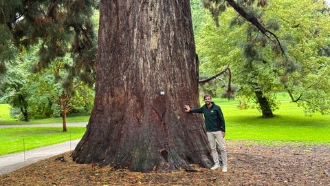 Jonathan Fergg ist Gartenplaner auf der Insel Mainau.