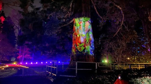 Lichterzauber auf der Mainau beim Christmas Garden.