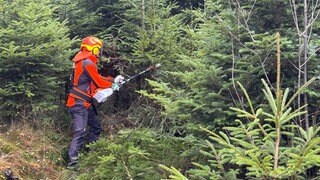 Ein Forstmitarbeiter führt ein neues akkubetriebenes Gerät im Wald vor. 