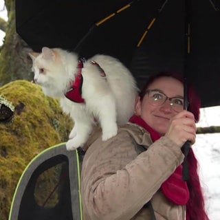 Ein Kater sitzt draußen auf der Schulter einer Frau