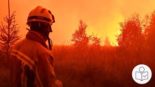 Ein Feuerwehrmann steht in einem Waldbrand. Er ist im Einsatz beim Großbrand im Naturschutzgebiet Hohes Venn. Rechts das SWR Logo für Leichte Sprache.