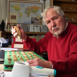 Siegbert Eickelkamp sammelt Steinzeit-Funde aus der Sahara