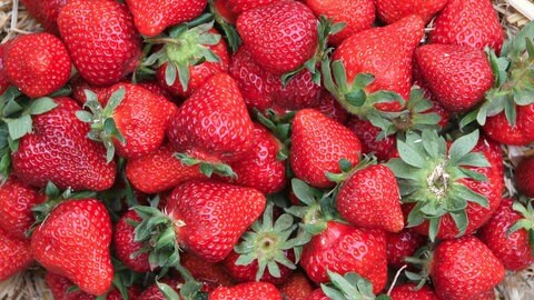Erdbeeren in einer Schale. Die Bezeichnung Erdbeermond hat – trotz des besonderen Phänomens – nichts mit der Farbe des Mondes zu tun.