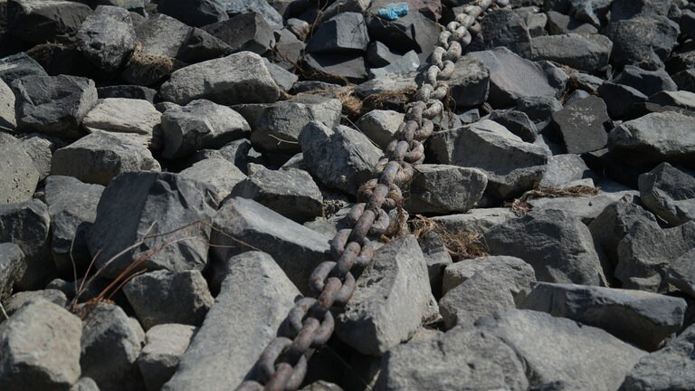 Niedrigwasser am Rhein sorgt für viele trockene Ufer, die deutlich größer sind als sonst.