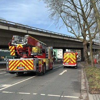 Mehrere Feuerwehrautos stehen unterhalb der Hochbrücke in Mainz-Mombach.