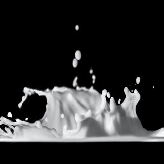 Ein schneeweißer Tropfen Milch in Großaufnahme vor einem schwarzen Hintergrund. Die Milch der Zukunft kommt aus einem Bioreaktor statt aus dem Euter. Dank der Genschere CrisprCas können Milchproteine ohne Tiere vervielfältigt werden.