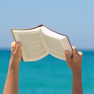 Buch lesen