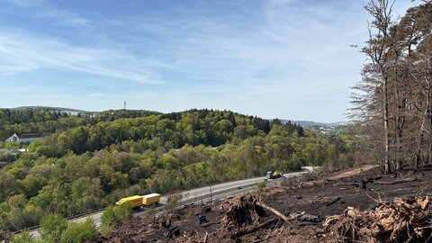In der Nähe von Kaiserlautern ist es zu einem Waldbrand gekommen.