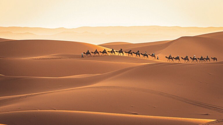Bettina Meister, Desert Love
