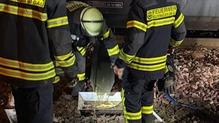 Einsatzkräfte der Feuerwehr haben den austretenden Diesel mit Wannen abgefangen. Parallel dazu wurde der Tank ausgepumpt.