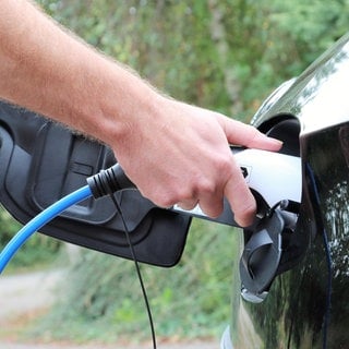 Bundesweit wurden die meisten E-Autos in Rheinland-Pfalz verkauft. Das Land ist bei den Neuzulassungen führend.