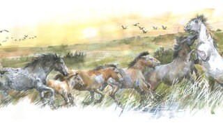So könnten die Pferde damals ausgesehen haben: Zu sehen ist die Zeichnung einer wilden Pferdeherde. In Schöningen wurden uralte Pferdeknochen mit 300.000 Jahre alter DNA geborgen.