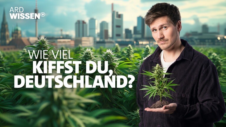 ARD Wissen-Host Frank Seibert Bilanz