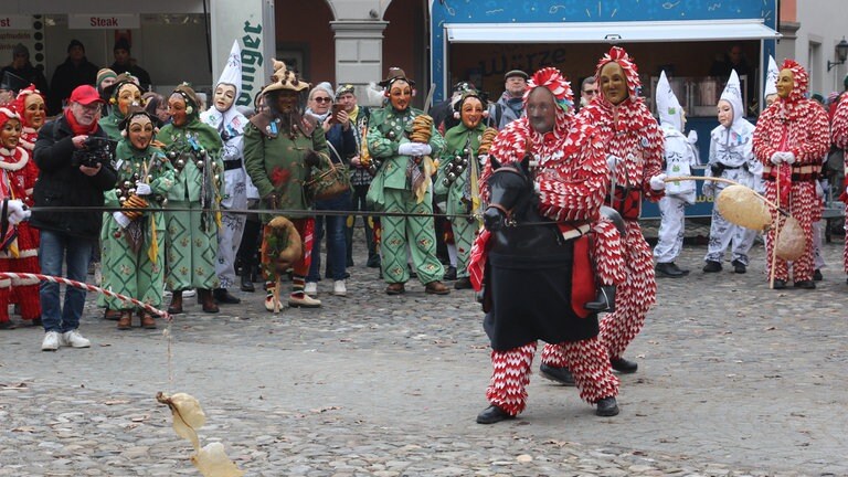 Impressionen vom Landschaftstreffen der Vereinigung Schwäbisch-alemannischer Narrenzünfte in Lindau.