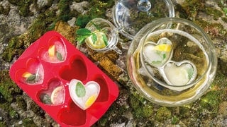 Eiswürfel für Bowle