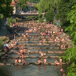 Viele Menschen sitzen auf einer Treppe im Fluss Dreisam in Freiburg. 