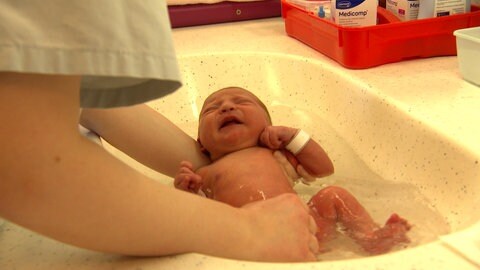Ein Baby wird im St. Marienkrankenhaus Ludwigshafen gebadet