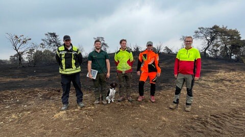 Experten schauen sich die Situation nach dem Waldbrand an