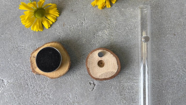 Blumige Kühlschrankmagneten