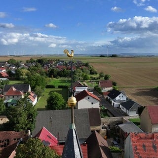 Hierzuland Ilbesheim