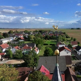 Hierzuland Ilbesheim