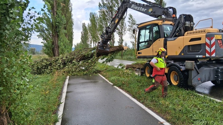 Ein umgekippter Baum wird von einer Straße bei Moos geräumt