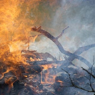 Flammen eines Waldbrands