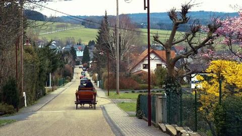 Rehe - Heimstraße