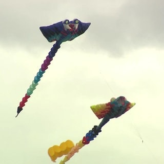 Drachen in der Luft