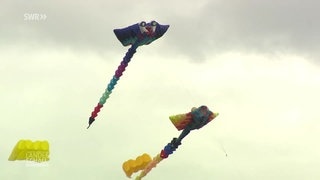 Drachen in der Luft