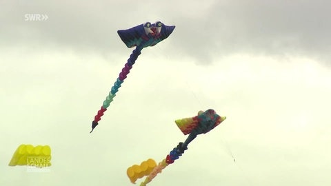 Drachen in der Luft