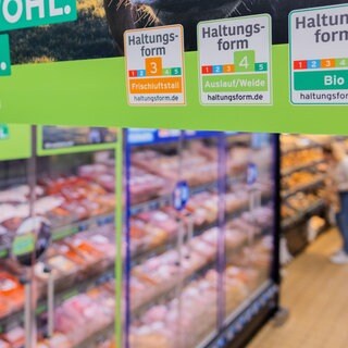 Die Albert Schweitzer Stiftung zeigt im Masthuhn-Report, wo bei Hähnchenfleisch auf die Haltung von Hühnern geachetet wird. Fleischwaren liegen bei ALDI SÜD in Kühlschränken nach Haltungsform sortiert. 