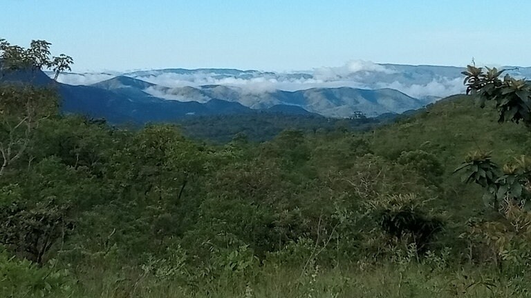 Brasilien hat mehrere Großökosysteme, wissenschaftlich "Biome" genannt. Das größte ist der Amazonas-Regenwald. Weniger bekannt, aber ebenfalls bedeutend, ist der südlich angrenzende Cerrado, eine riesige Savanne – fast 6-mal so groß wie Deutschland. Schon 60 Prozent des Cerrado sind für die landwirtschaftliche Nutzung umgepflügt worden. Von dort kommt die größte Menge 