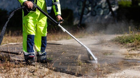 Ein Mann sprüht in Kehl im Ortenaukreis heißes Wasser in einen unterirdischen Bau der Tapinoma-Ameise