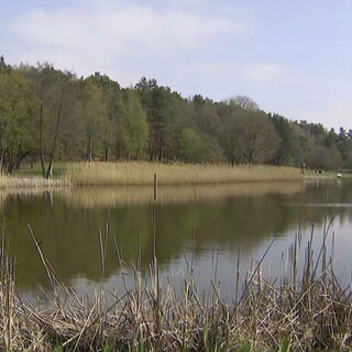 Landschaft
