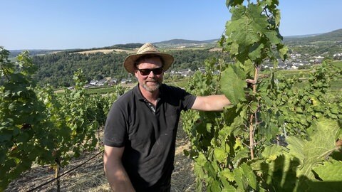 Wegen Trockenheit und Hitze: Der Winzer aus Maring-Noviand hat in diesen Tagen seine Pflanzen ganz genau im Blick.