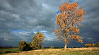 Westwind ist in unseren Breiten üblich