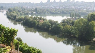 In Stuttgart fließt der Neckar direkt vor dem Max-Eyth-See vorbei.