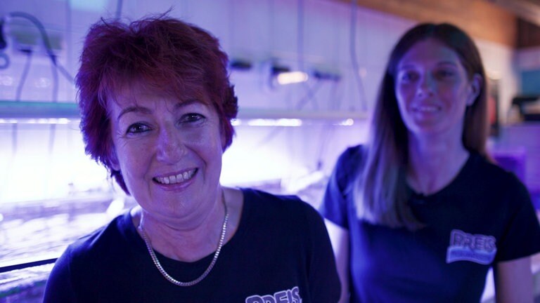 Cornelia Preis