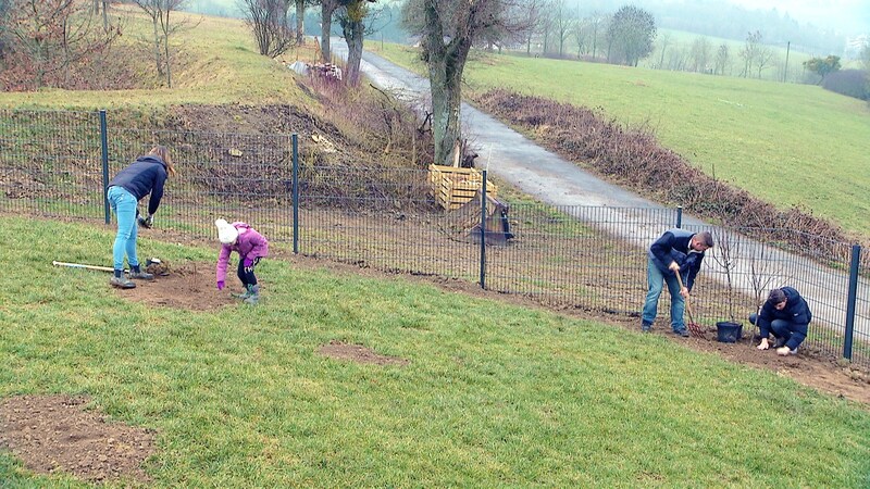 HZL Brimingen Familiie beim Einpflanzen