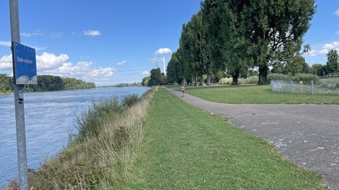 Das Rheinstrandbad Rappenwört liegt direkt am Karlsruher Rheinufer.
