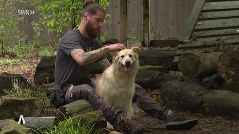 Tierheim Kaiserslautern: Mitarbeiter bürstet das Fell eines Hundes