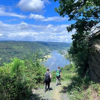 Moselsteig Etappe 13: Abstieg nach Enkirch mit Moselblick.